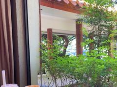 -深圳仙湖植物园