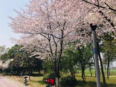 -尚贤河湿地