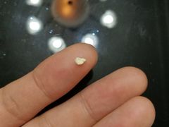 -巴黎贝甜(周浦海印店)