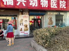 -瑞派福兴宠物医院犬猫全科·骨科·中西医结合(河东店)