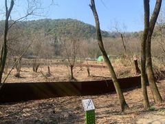 -西湖风景区-江洋畈生态公园