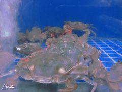 -名超海鲜烧烤大排档