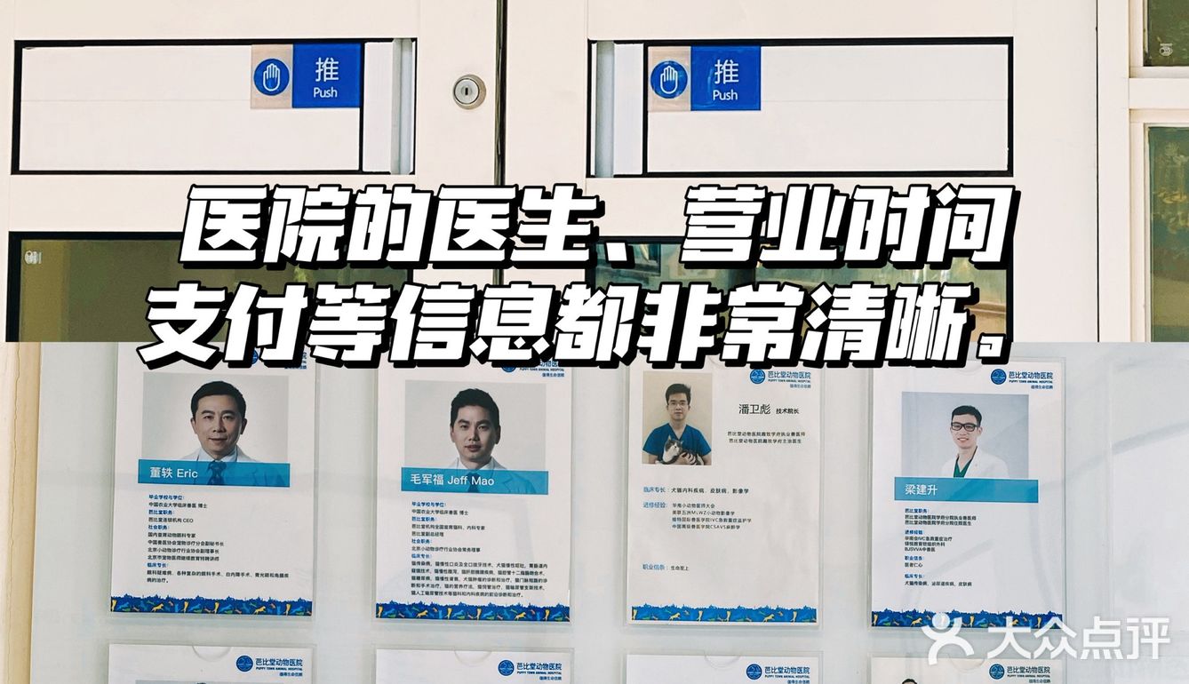 体验|猫咪打疫苗—丢脸丢到姥姥家🐈👵🏻