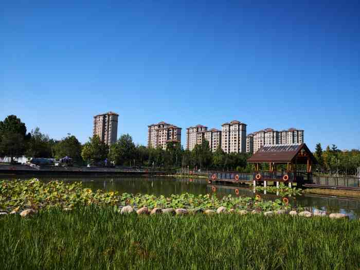 马坡千亩森林公园-"去过两次!真的好大呀!走得好累呀!可以带.