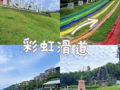 -阿露佳·舌尖上的安吉菜