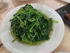 清炒米苋-顺风海鲜港(金玉兰店)