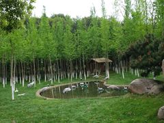 -艾溪湖湿地公园