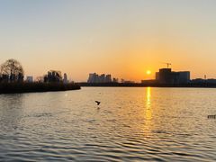 -水西公园
