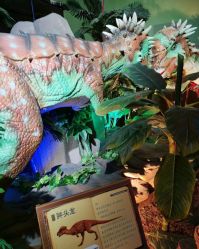 -恐龙探索乐园(磁器口店)