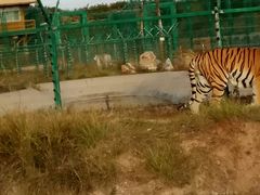 -鄂尔多斯野生动物园