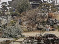 -南阳府衙