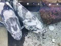 -鸿通城购物中心