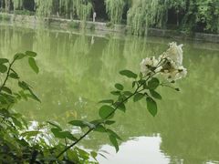-包公祠
