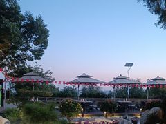 -蘇河湾·新鲁菜·泰山宴(泰山店)