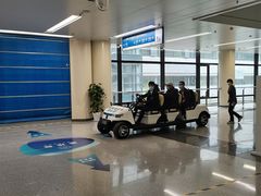 -首都医科大学附属北京天坛医院