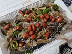 -陈添記·祖傳爽鱼皮·西关老字号(广州首店)