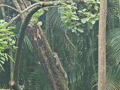 -广西壮族自治区药用植物园