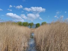 -野鸭湖国家湿地公园