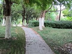 -天鹅湖体育公园