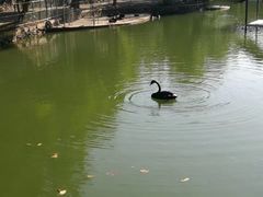 -广东茂名森林公园