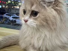 -艾贝尔宠物医院 ·中兽医·宠保定点(北门桥店)