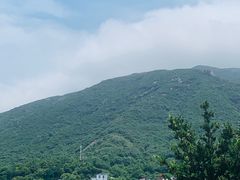 -桃花岛风景旅游区