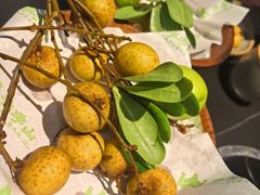 -季季山·云南野生菌火锅(上海首店)