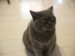 -Rabbit Cafe私房西餐甜点咖啡(栖霞路店)