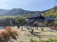 -兰亭风景区