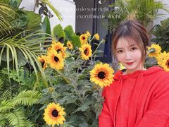 -漫笙舍Manse·咖啡·民宿