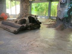 -海南热带野生动植物园