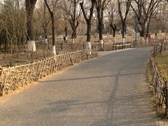 -丰台科技园生态主题公园