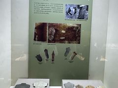 -广西民族博物馆