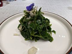 桑叶百合-便宜坊烤鸭店(甜水园店)