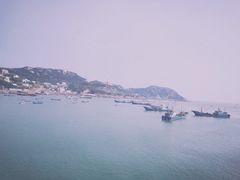 -枸杞岛
