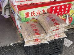 -双福水果批发市场