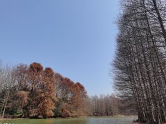 -上海海湾国家森林公园