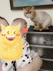 -马克叔叔儿童理发形象设计