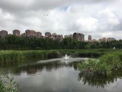 -前关湿地公园
