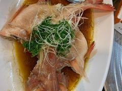 清蒸东星斑-荔城生鲜盛宴(番禺旗舰店)