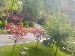 -古尔沟华美达温泉度假酒店