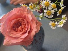 -恬阿姨庭院餐厅·生日宴