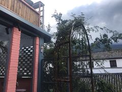 -喵屿·大理花园猫咖