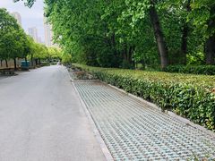 -金匮公园-南入口停车场