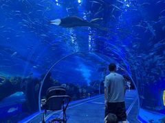 -成都浩海立方海洋公园