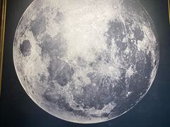 -上海佘山国家森林公园西佘山园