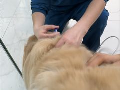 -嘉馨宠物医院·CT影像转诊·心脏科·犬猫全科诊疗中心(下沙大学城院区)