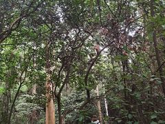 -水濂山森林公园