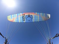 -费特希耶滑翔伞