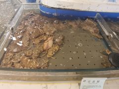 -澜悦港海鲜体验主题餐厅